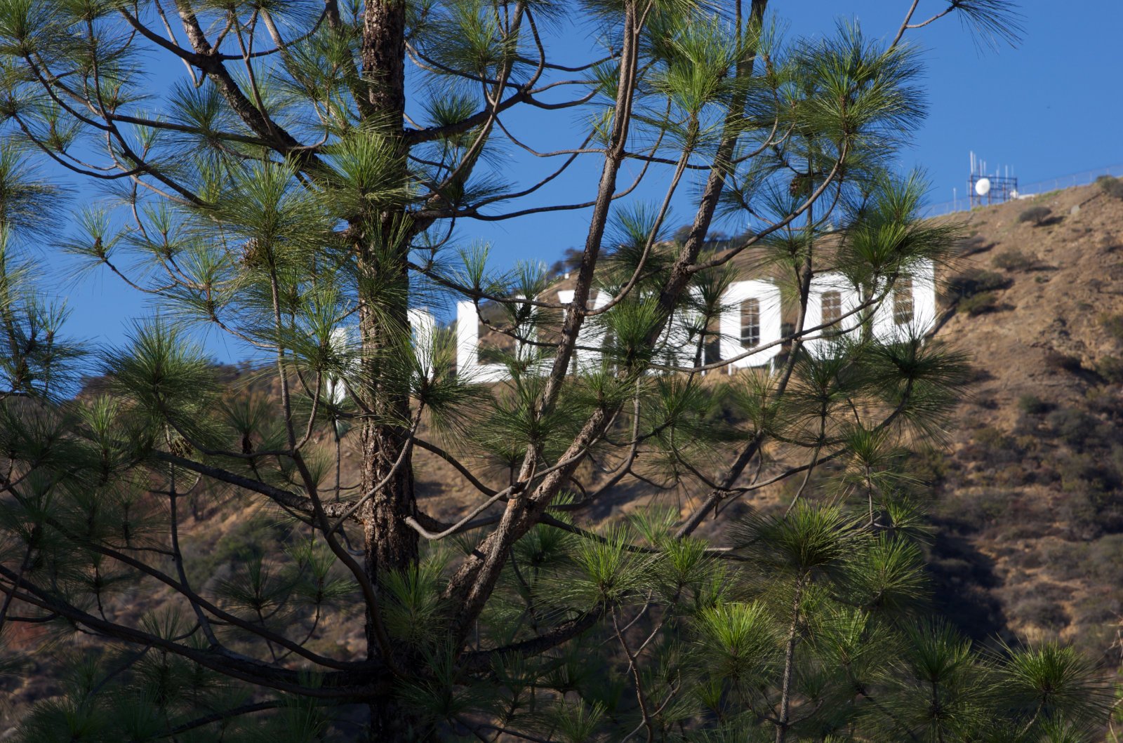 Hollywood Sign033